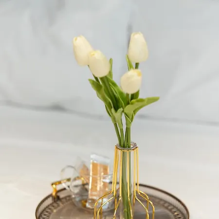 Valaoritou 3 Luxury شقة سالونيك