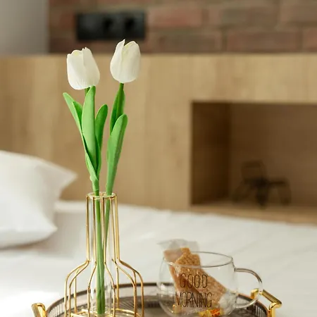 Valaoritou 3 Luxury Apartment