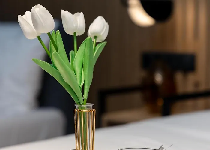 Valaoritou 3 Luxury * 塞萨洛尼基