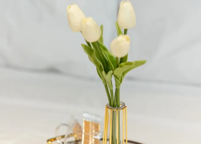 Valaoritou 3 Luxury 公寓 塞萨洛尼基